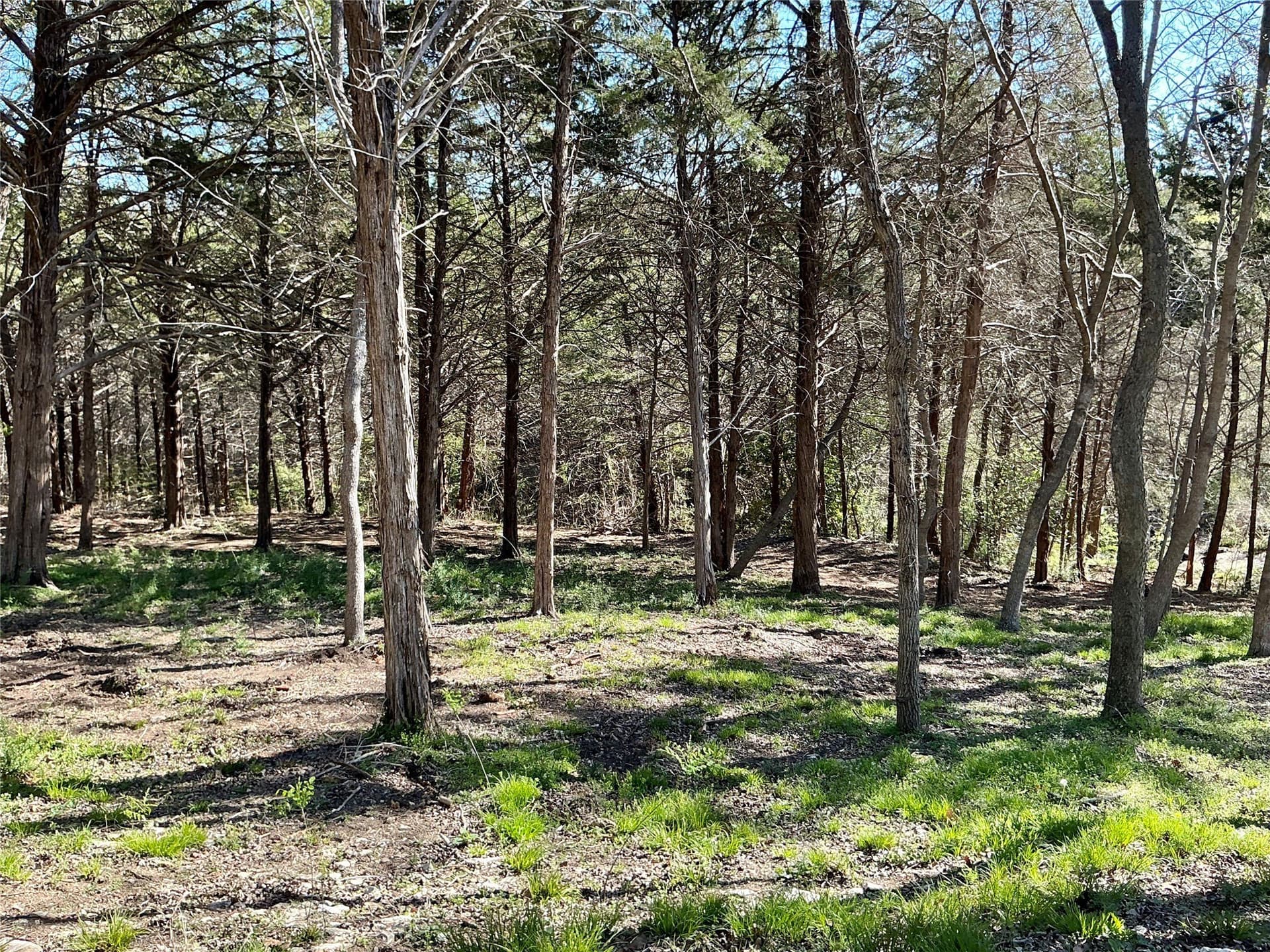 1.06 acres in Grayson County - photo 17