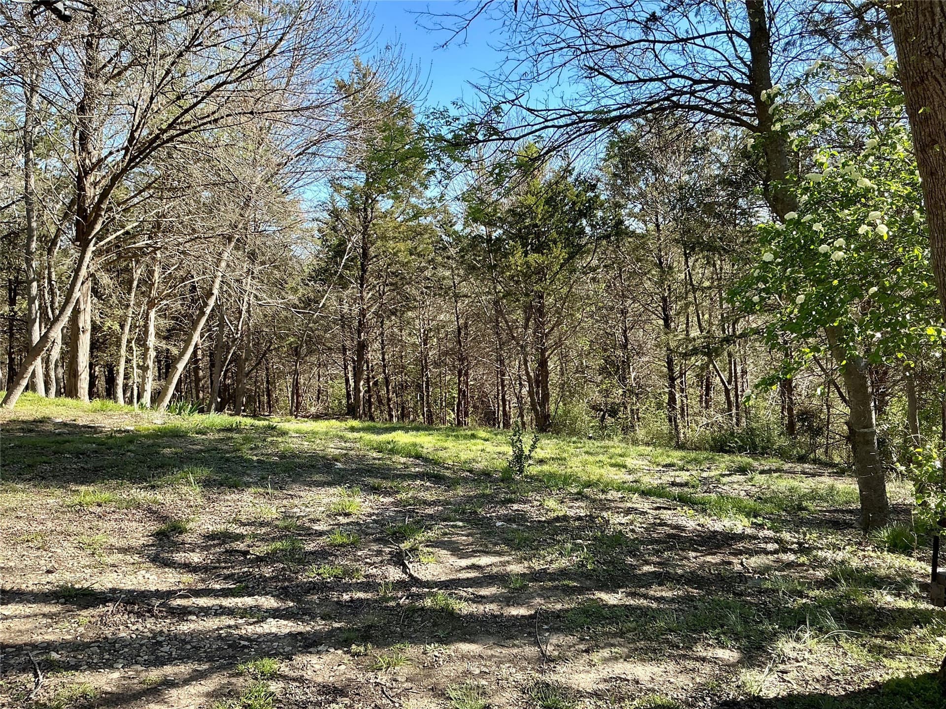 1.06 acres in Grayson County - photo 12