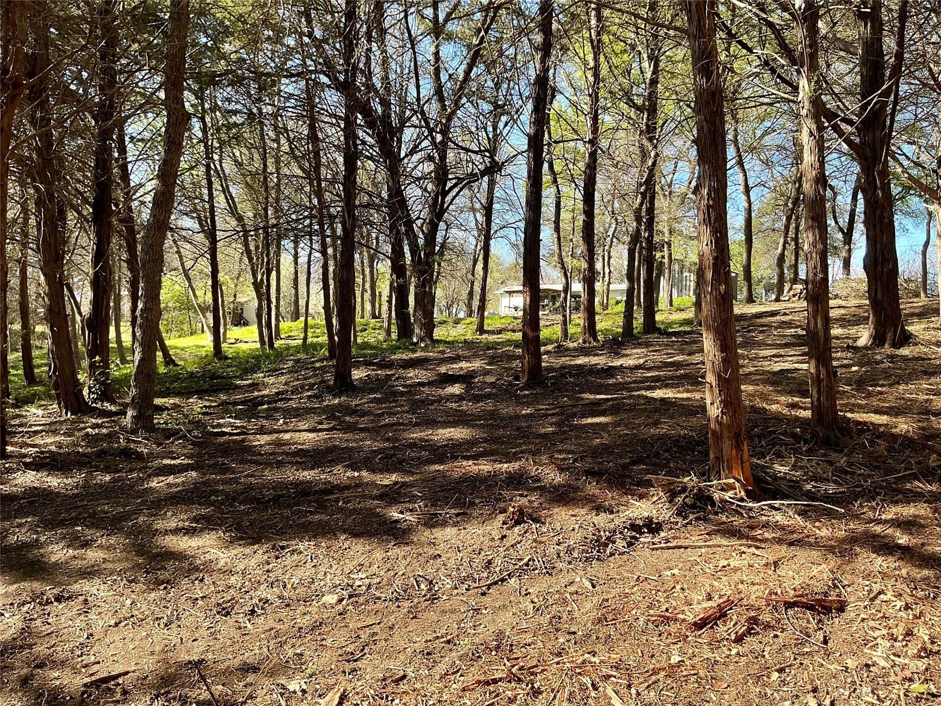 1.06 acres in Grayson County - photo 10