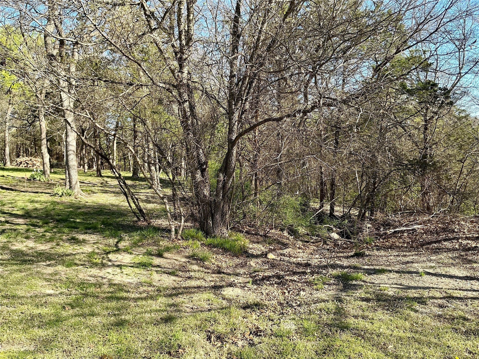 1.06 acres in Grayson County - photo 9