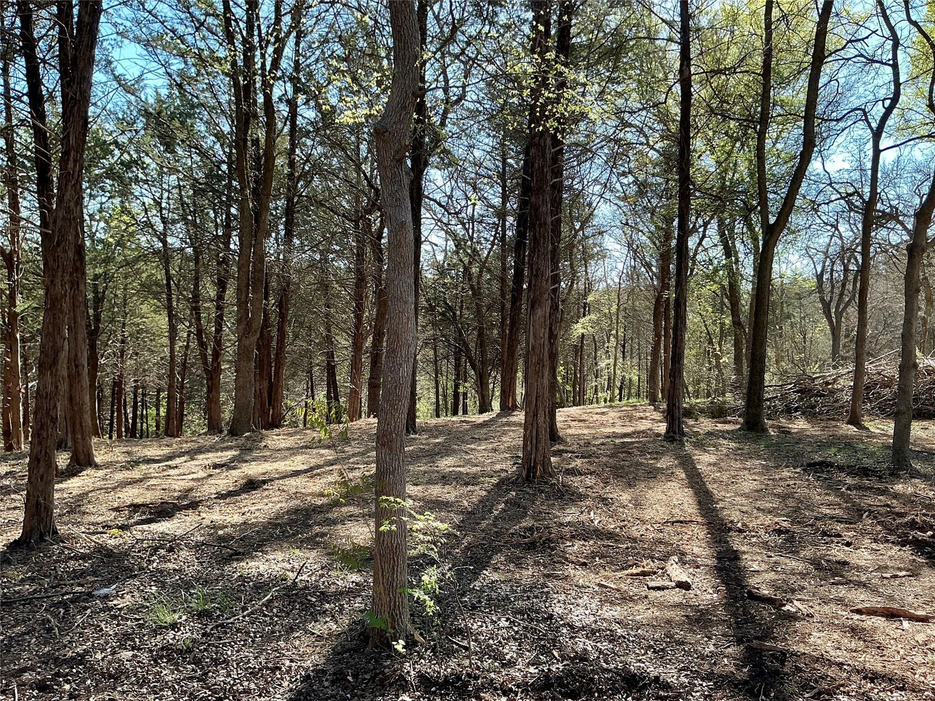 1.06 acres in Grayson County - photo 31