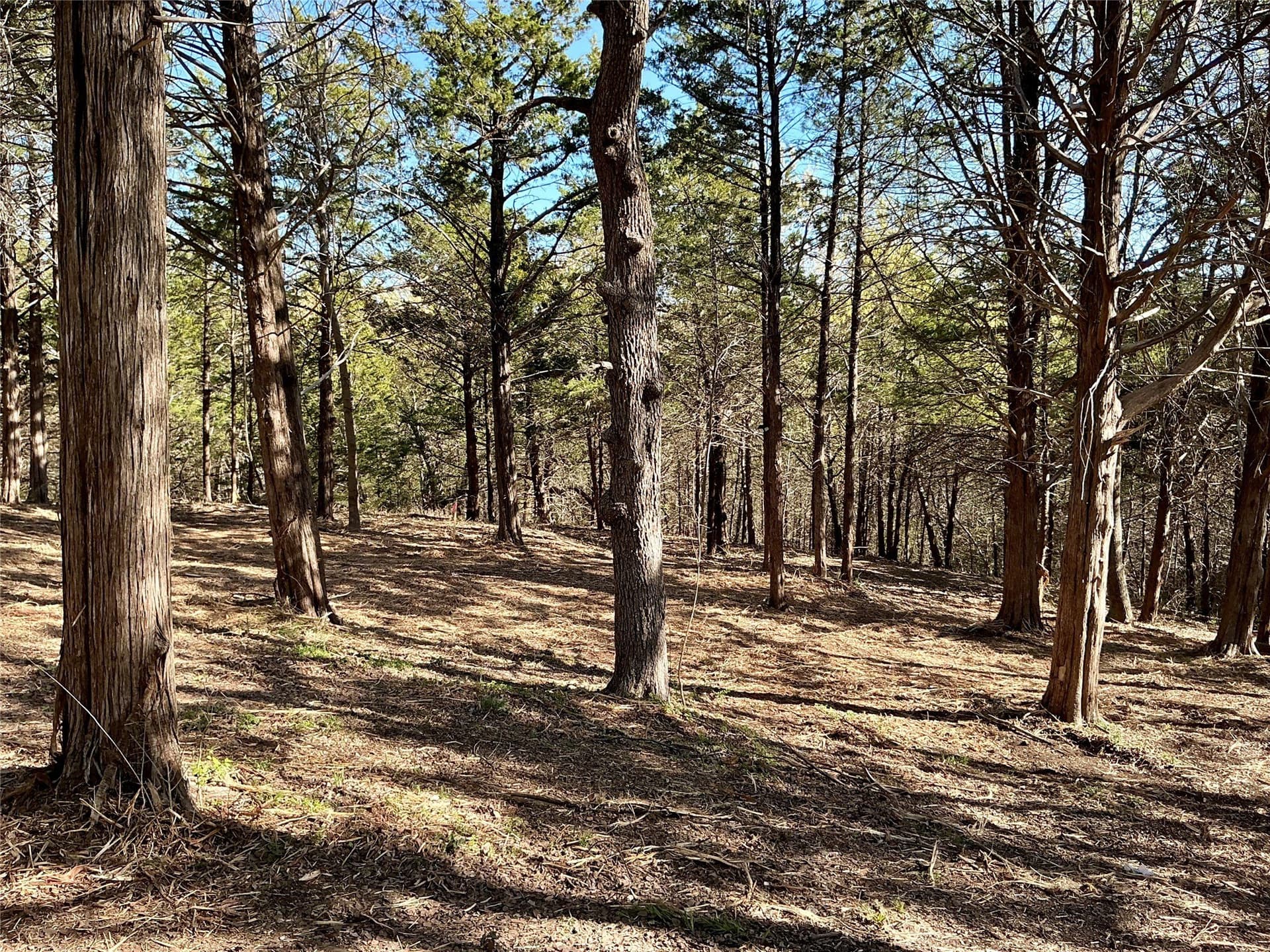 1.06 acres in Grayson County - photo 21