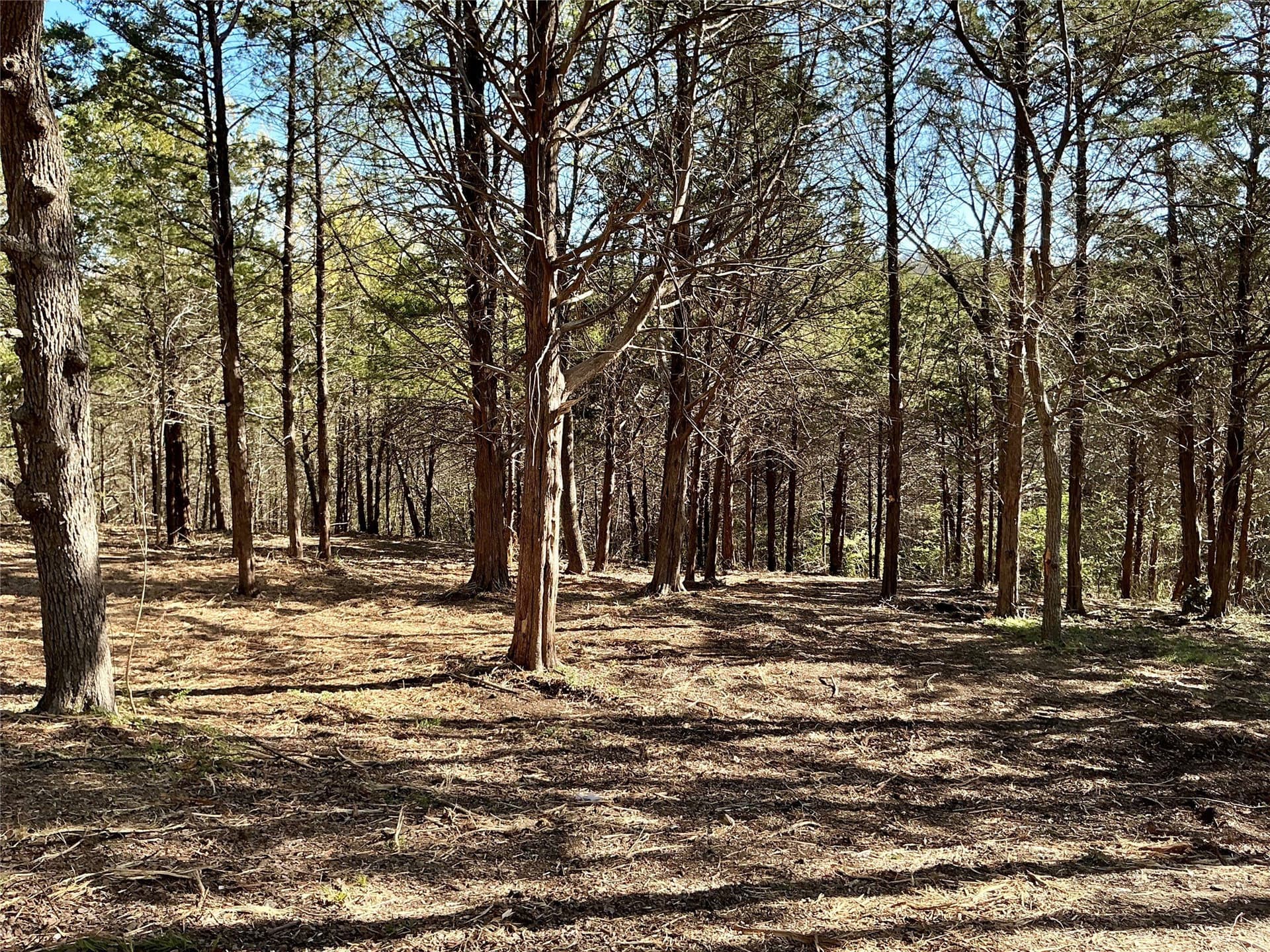 1.06 acres in Grayson County - photo 20