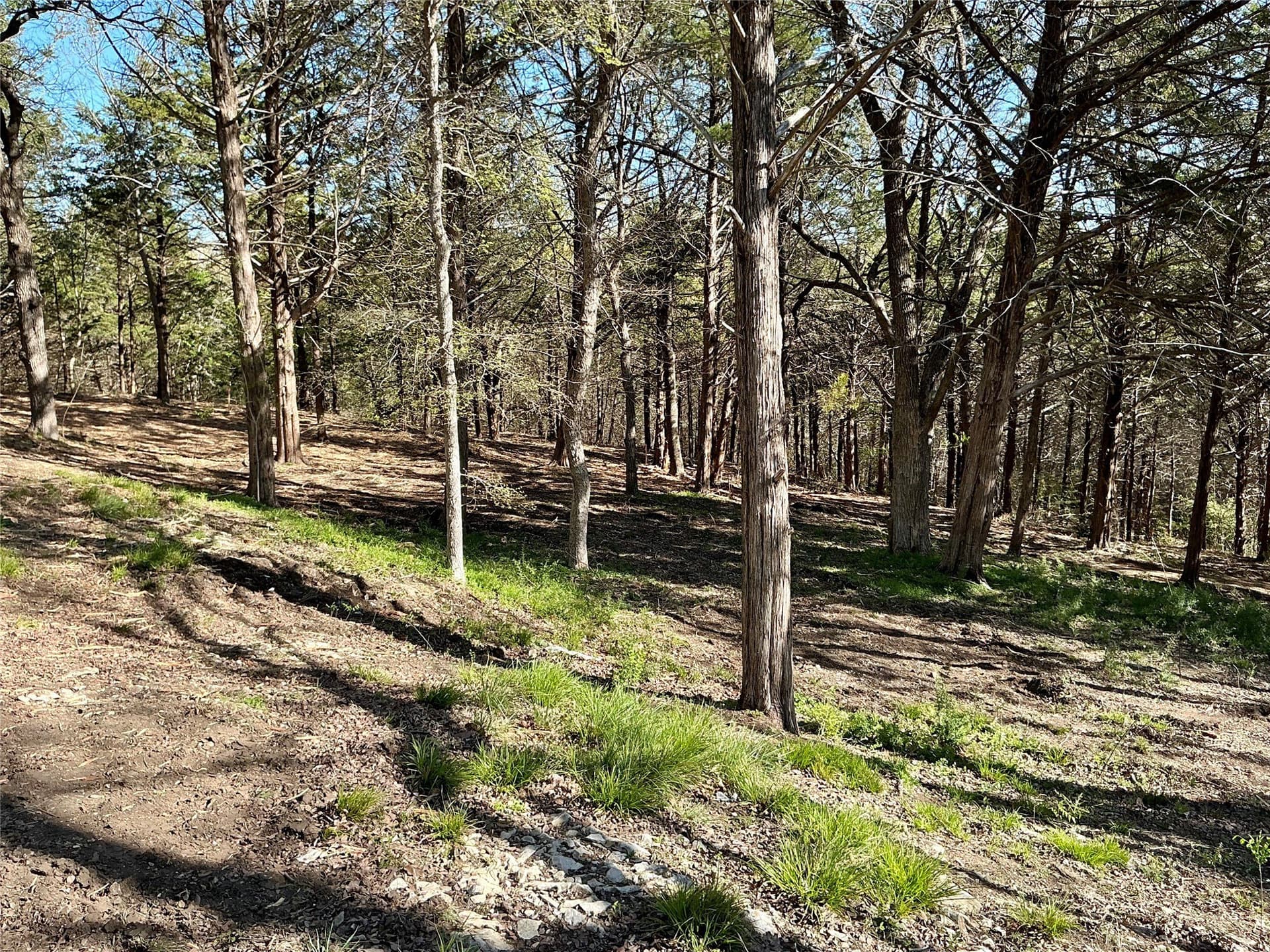 1.06 acres in Grayson County - photo 19