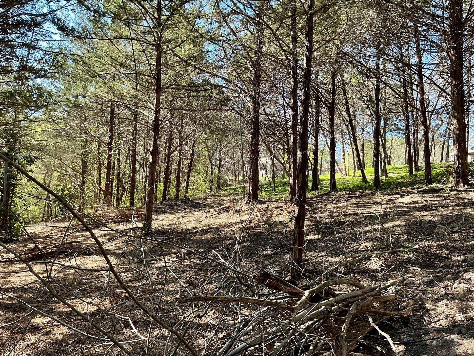 1.06 acres in Grayson County - photo 29