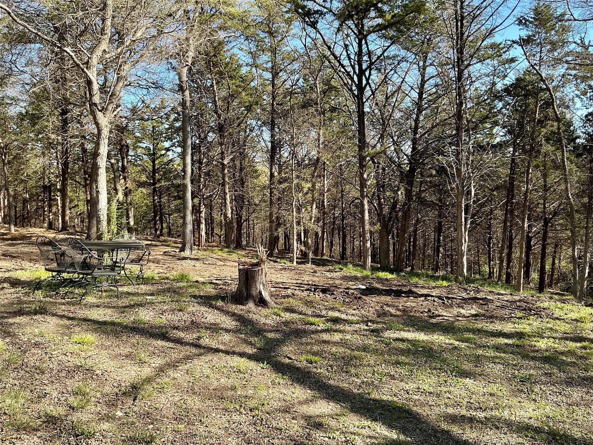 1.06 acres in Grayson County - photo 14