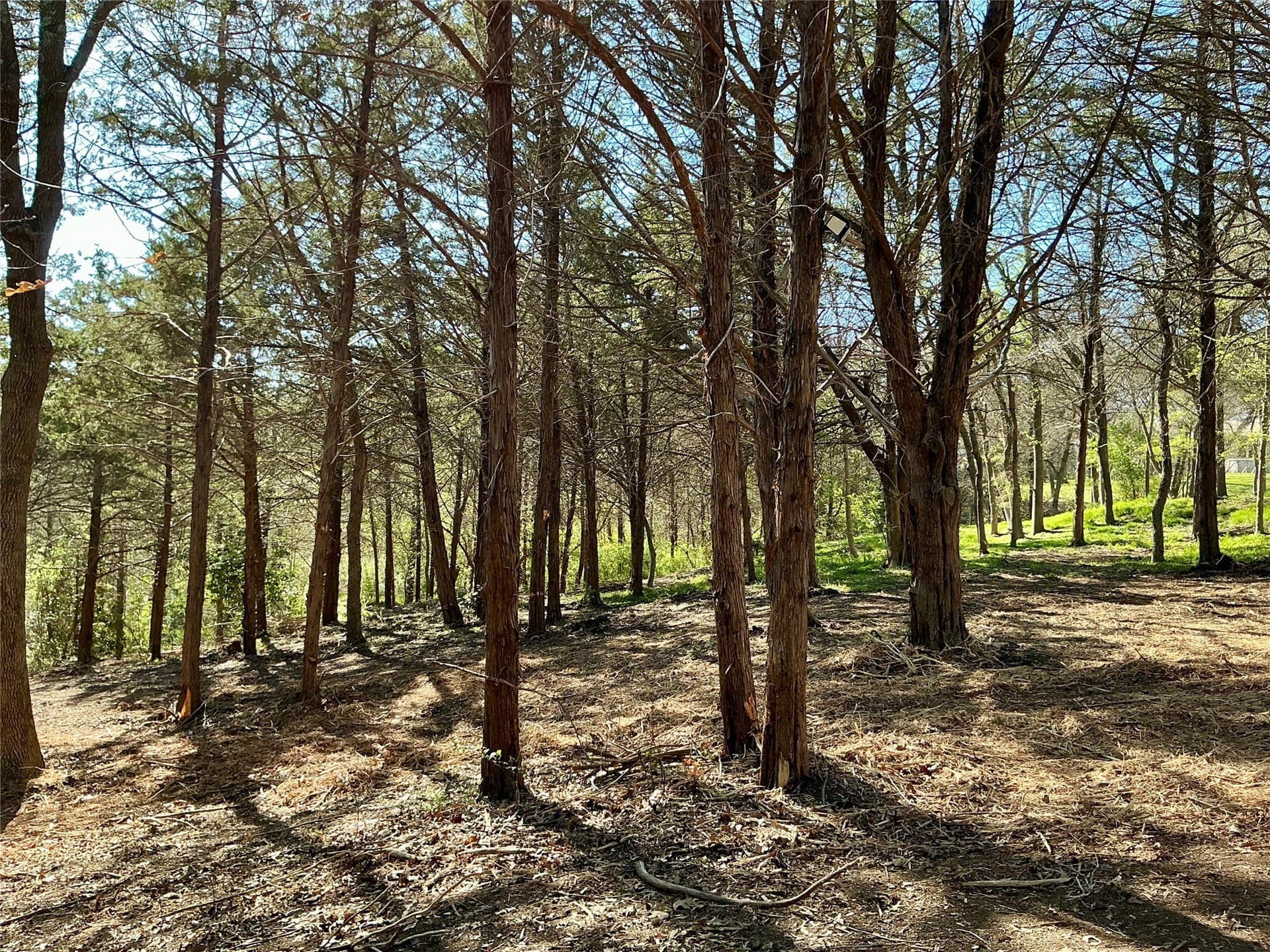 1.06 acres in Grayson County - photo 24