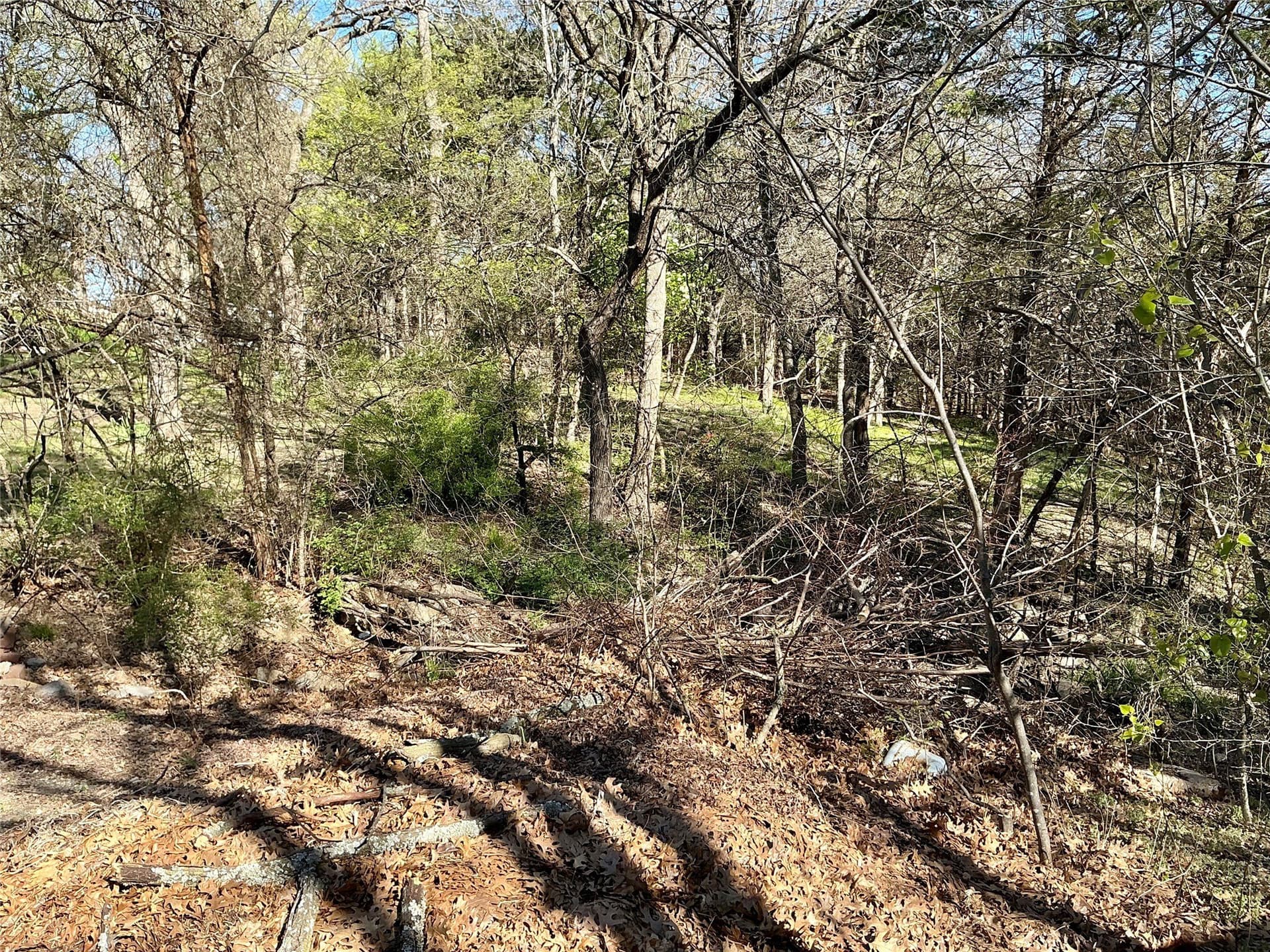 1.06 acres in Grayson County - photo 11