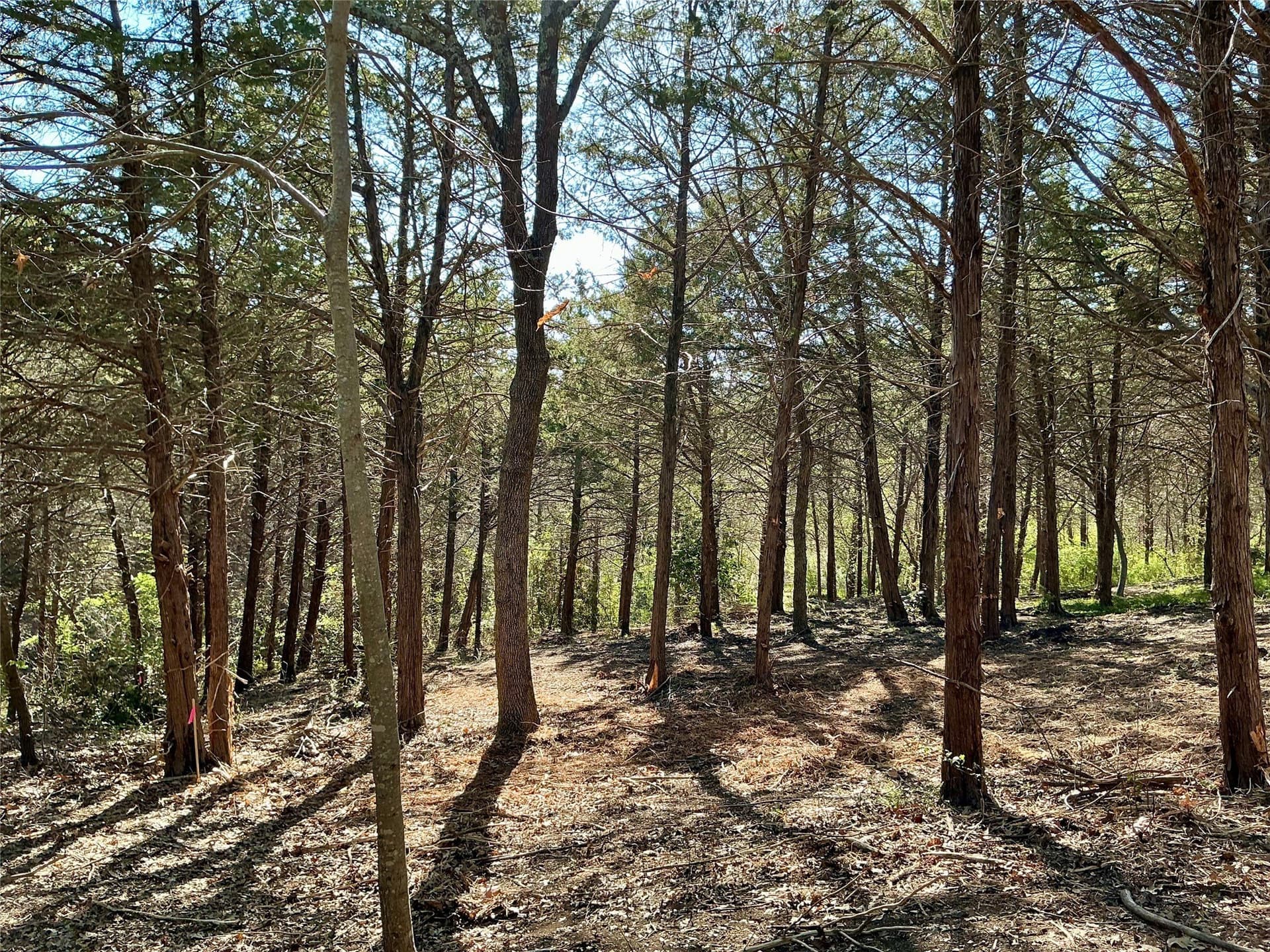 1.06 acres in Grayson County - photo 25
