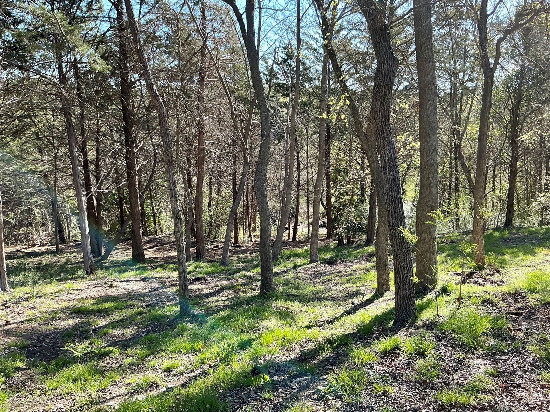 1.06 acres in Grayson County - photo 16
