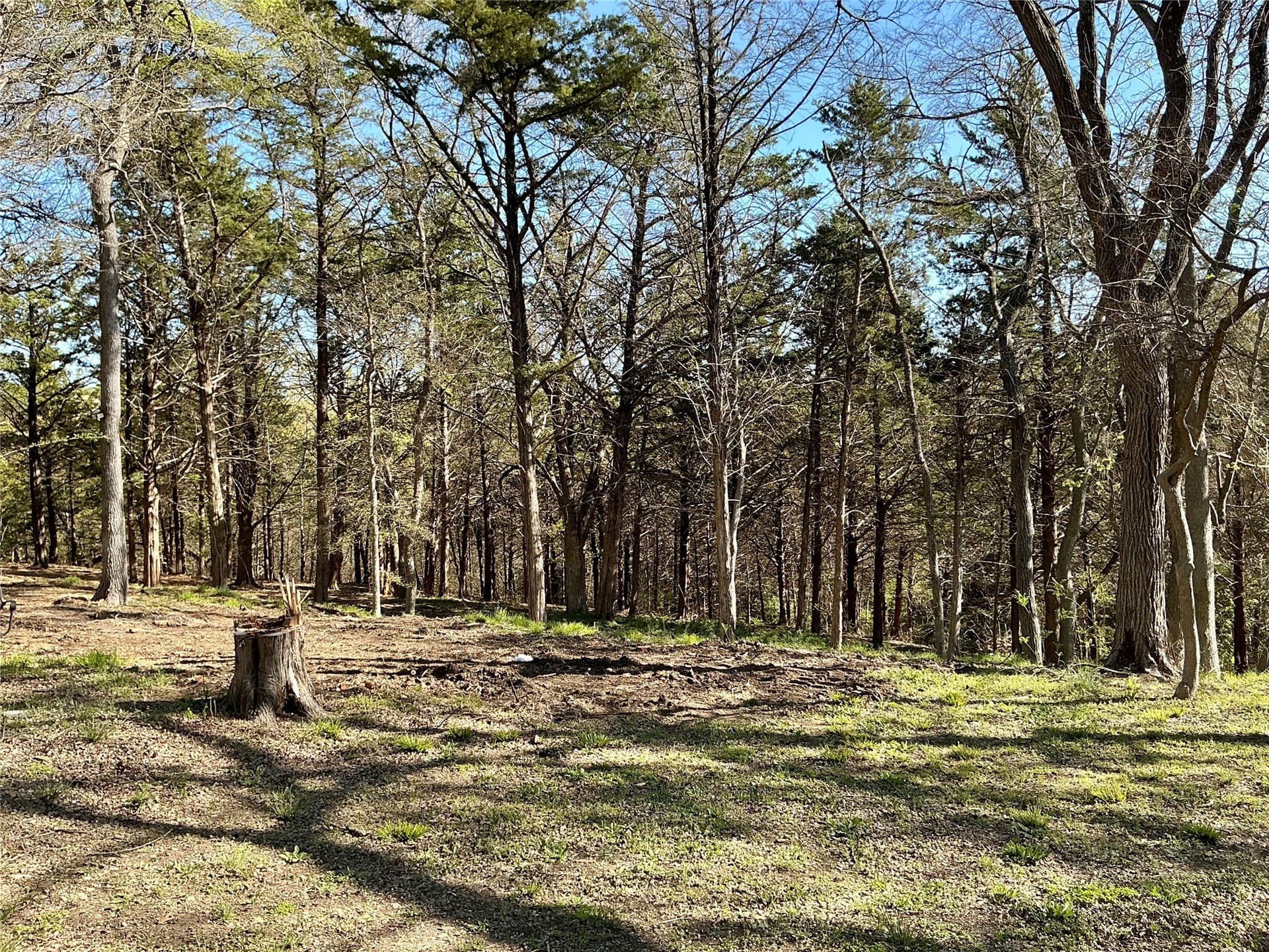 1.06 acres in Grayson County - photo 15