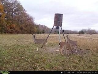 36.5 acres in Hopkins County featured view