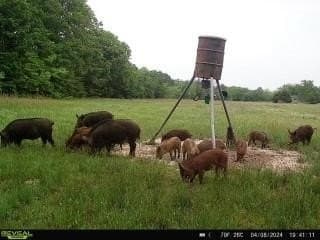 36.5 acres in Hopkins County - photo 6
