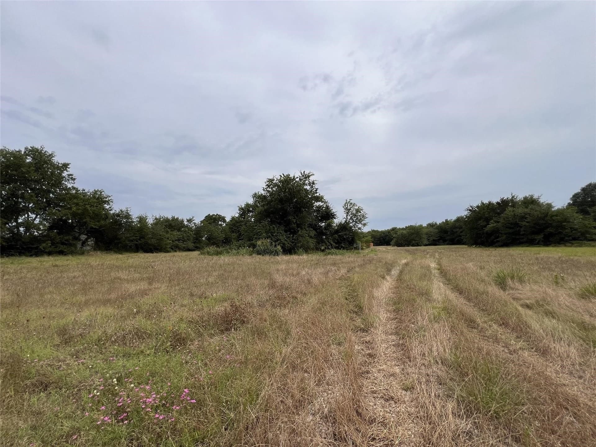 36.5 acres in Hopkins County - photo 10
