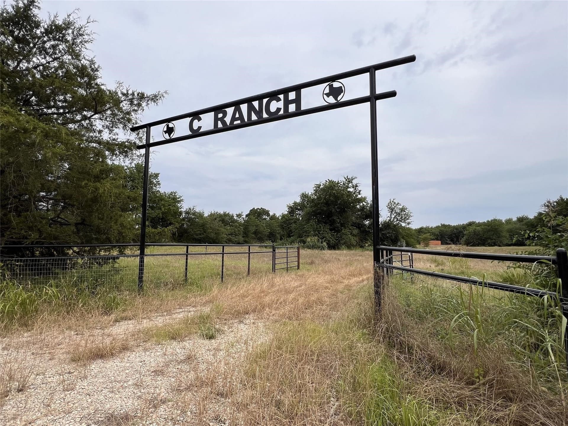 36.5 acres in Hopkins County gallery image 3