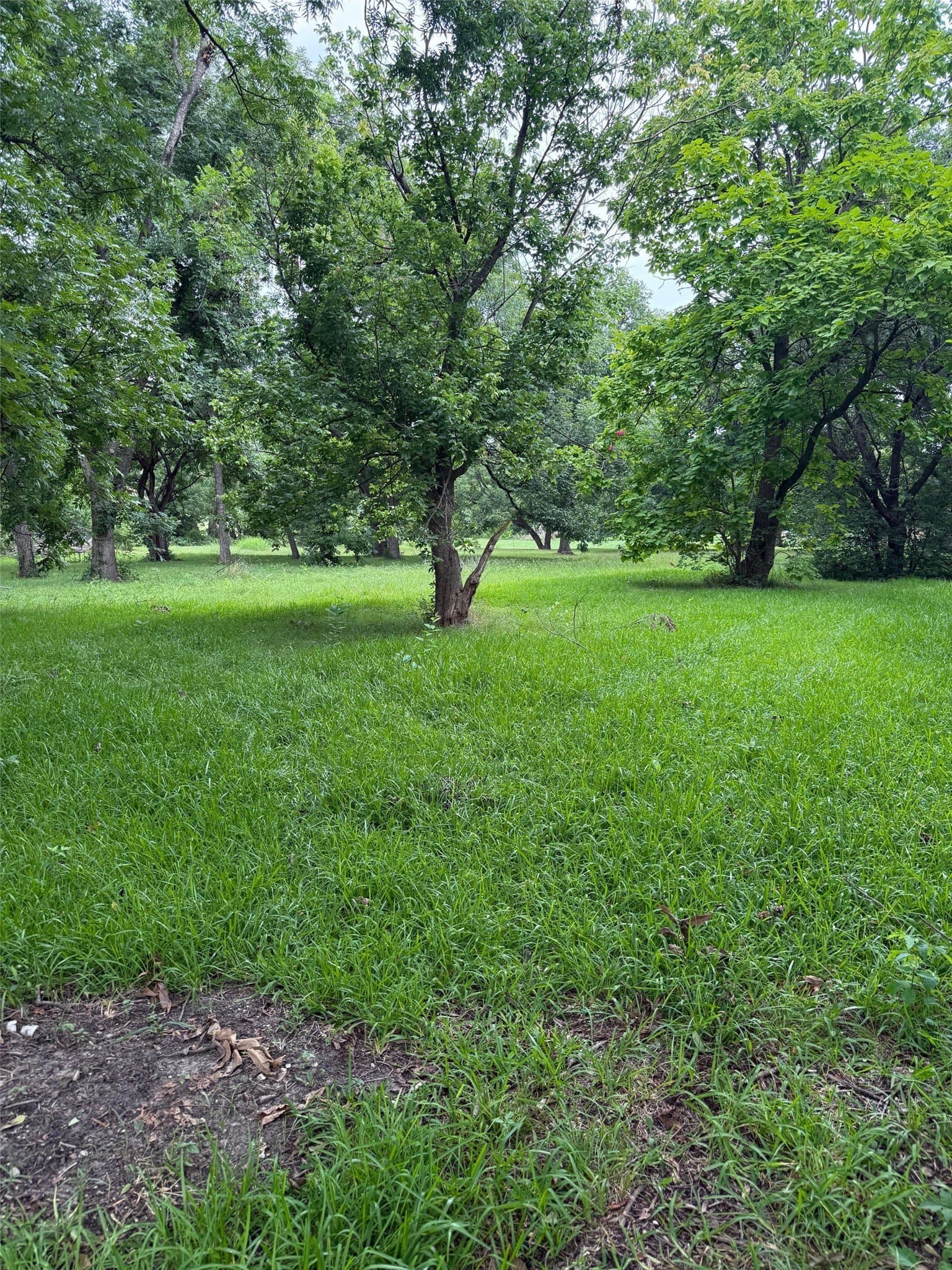 0.51 acres in Fannin County gallery image 3