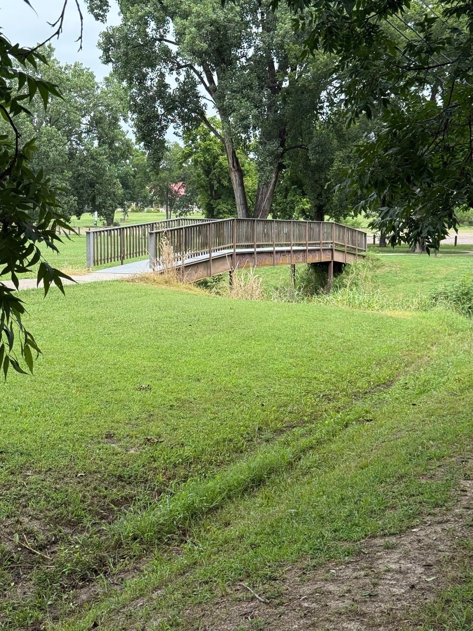 0.51 acres in Fannin County - photo 6