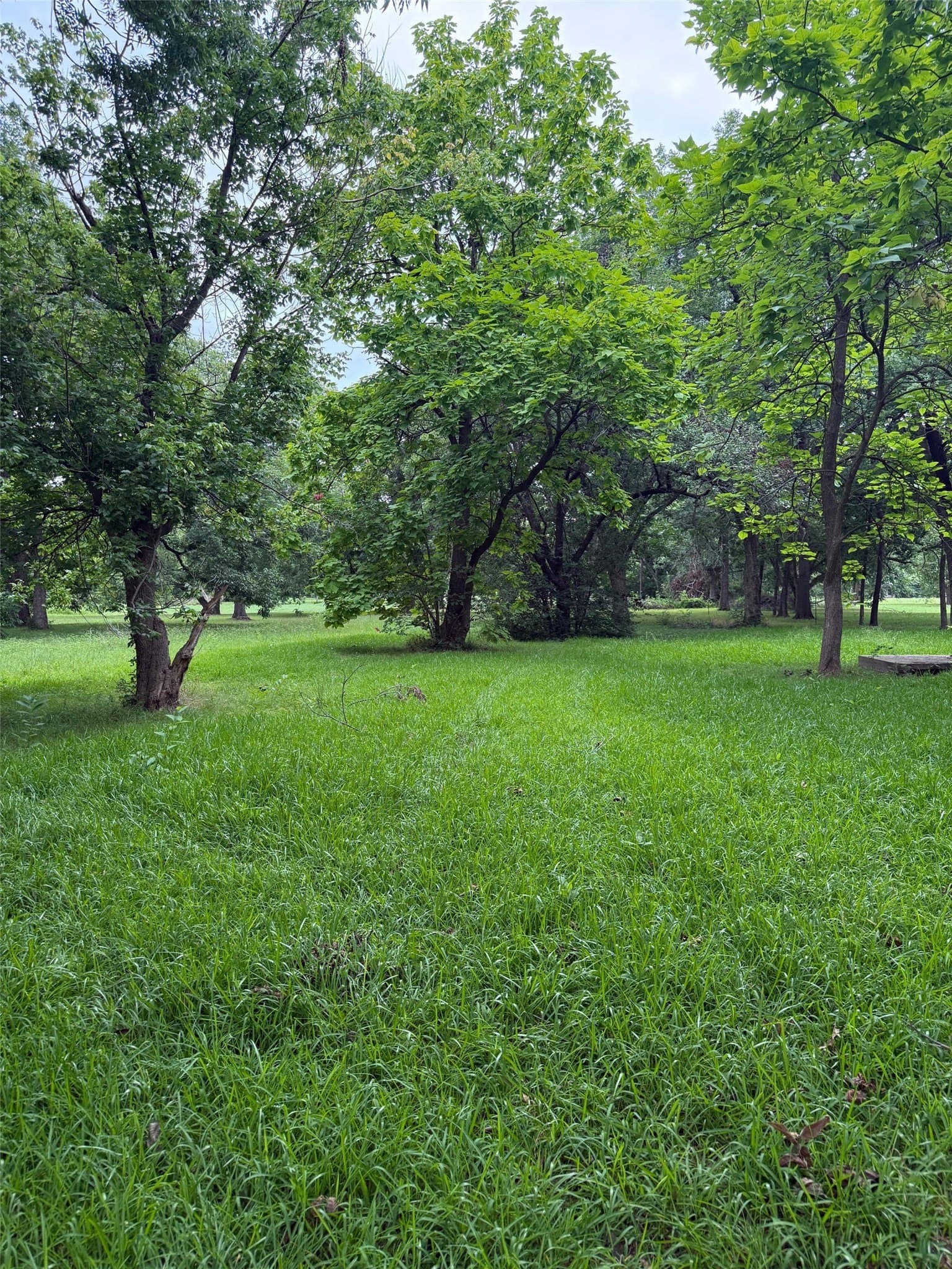 0.51 acres in Fannin County gallery image 2