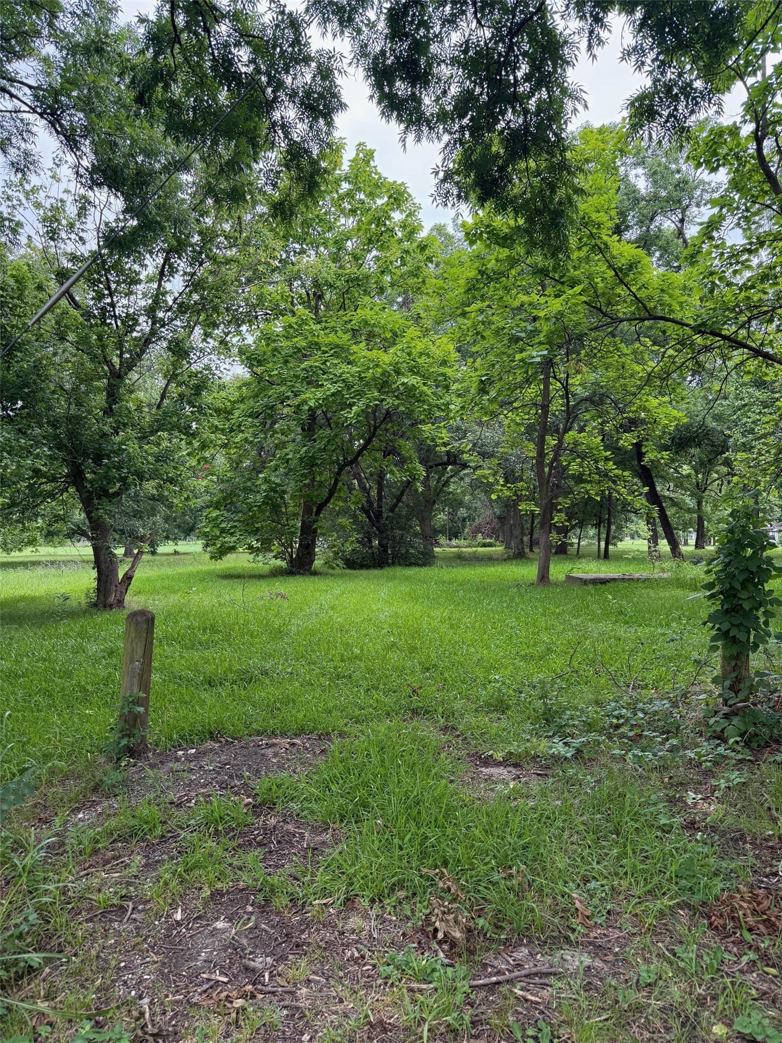 0.51 acres in Fannin County gallery image 4