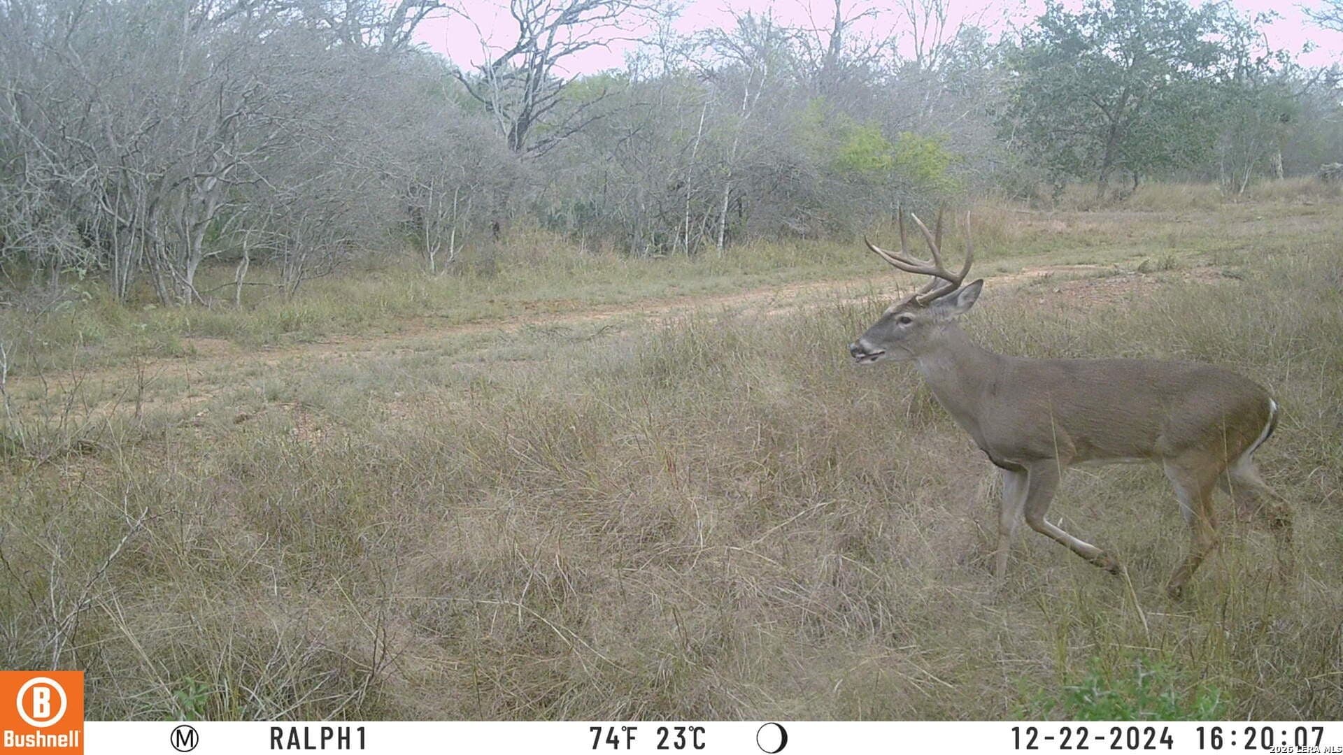 16.27 acres in Atascosa County - photo 47