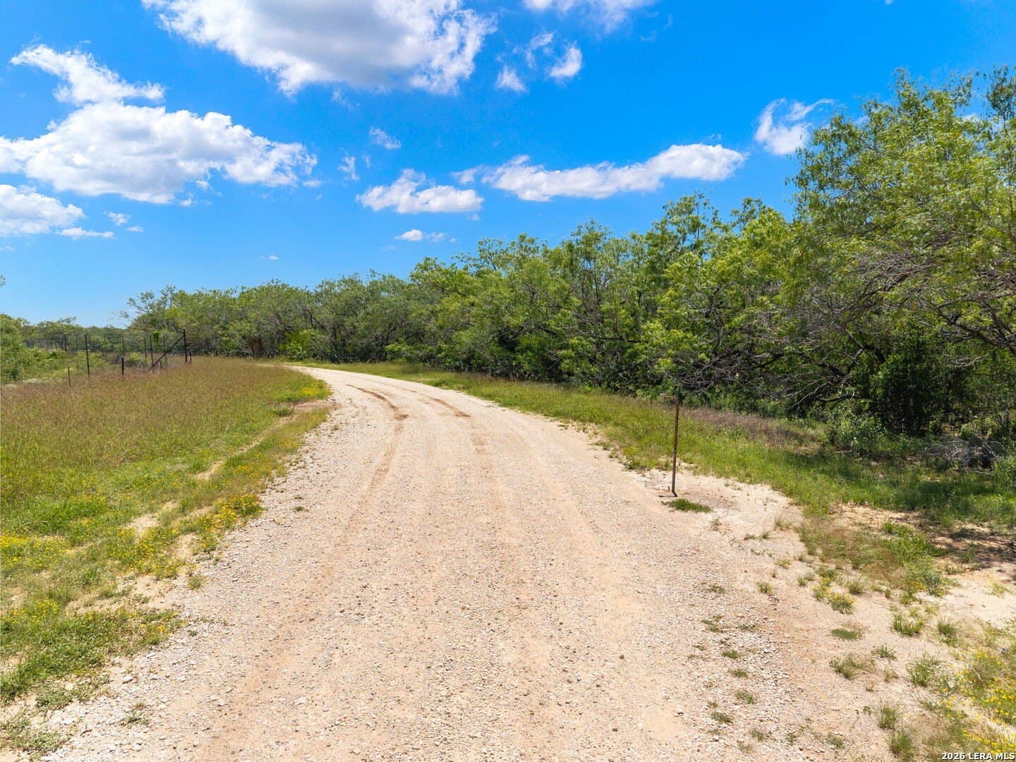 16.27 acres in Atascosa County gallery image 4