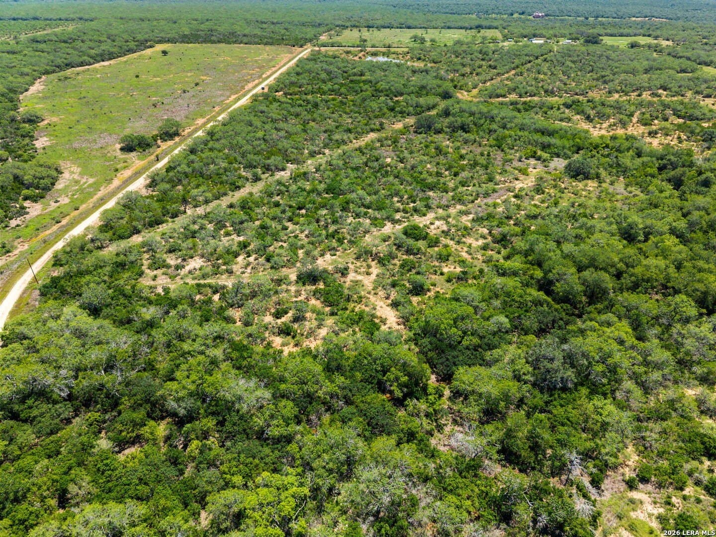 16.27 acres in Atascosa County - photo 33