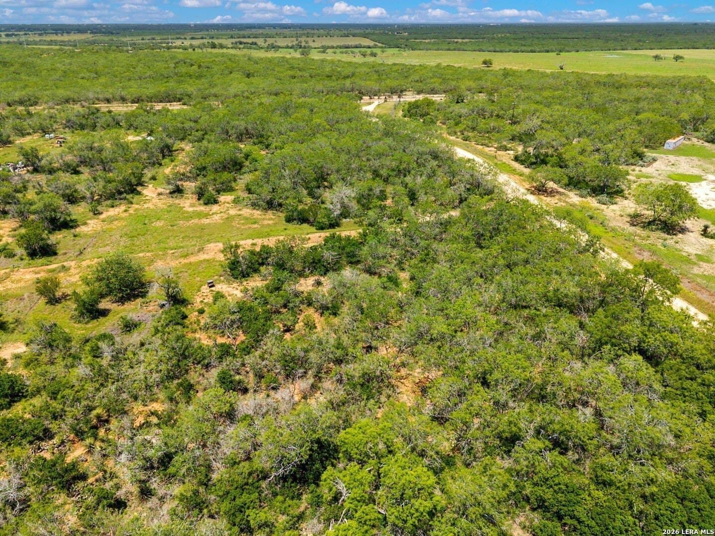 16.27 acres in Atascosa County - photo 39