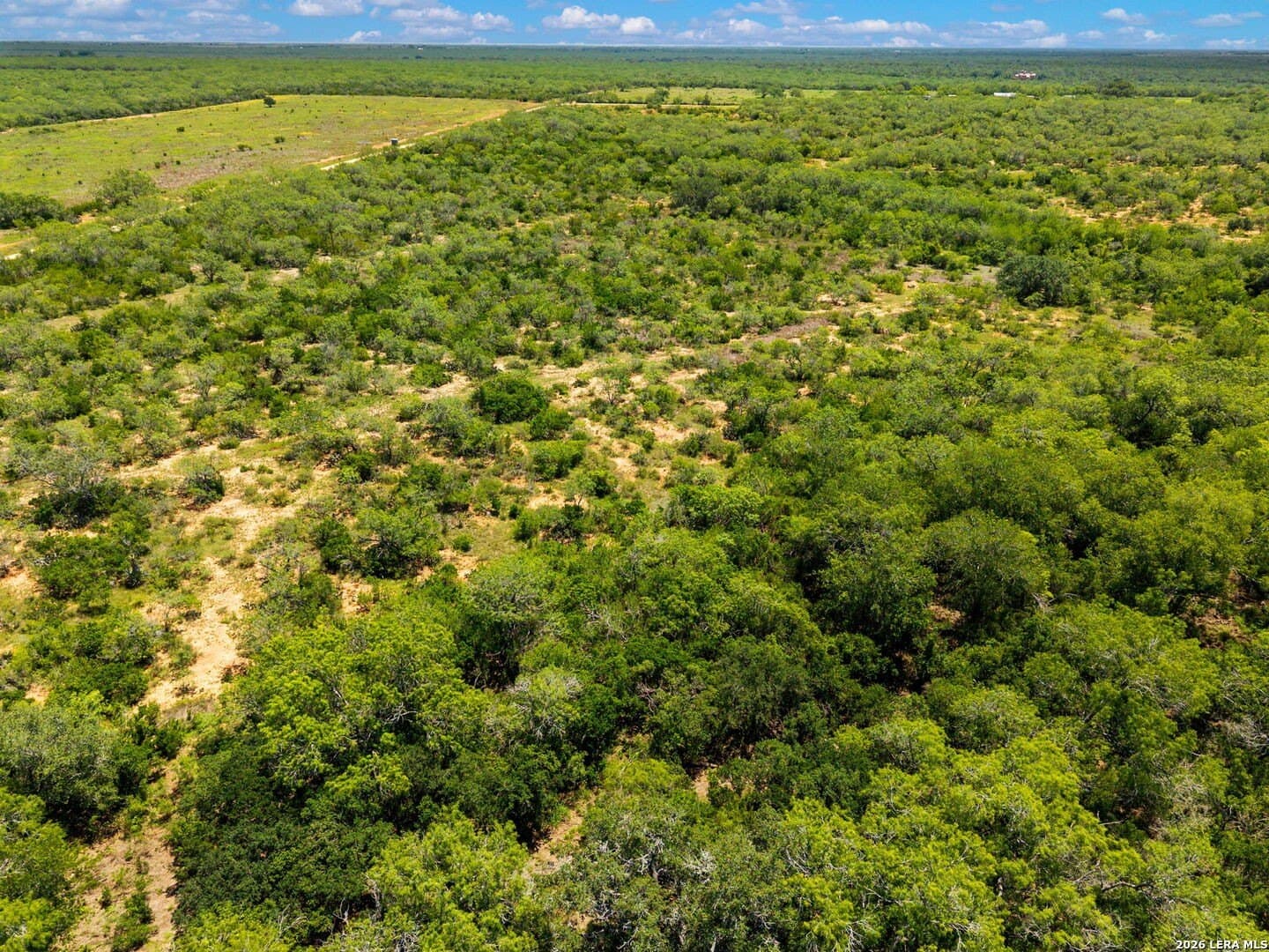 16.27 acres in Atascosa County - photo 40