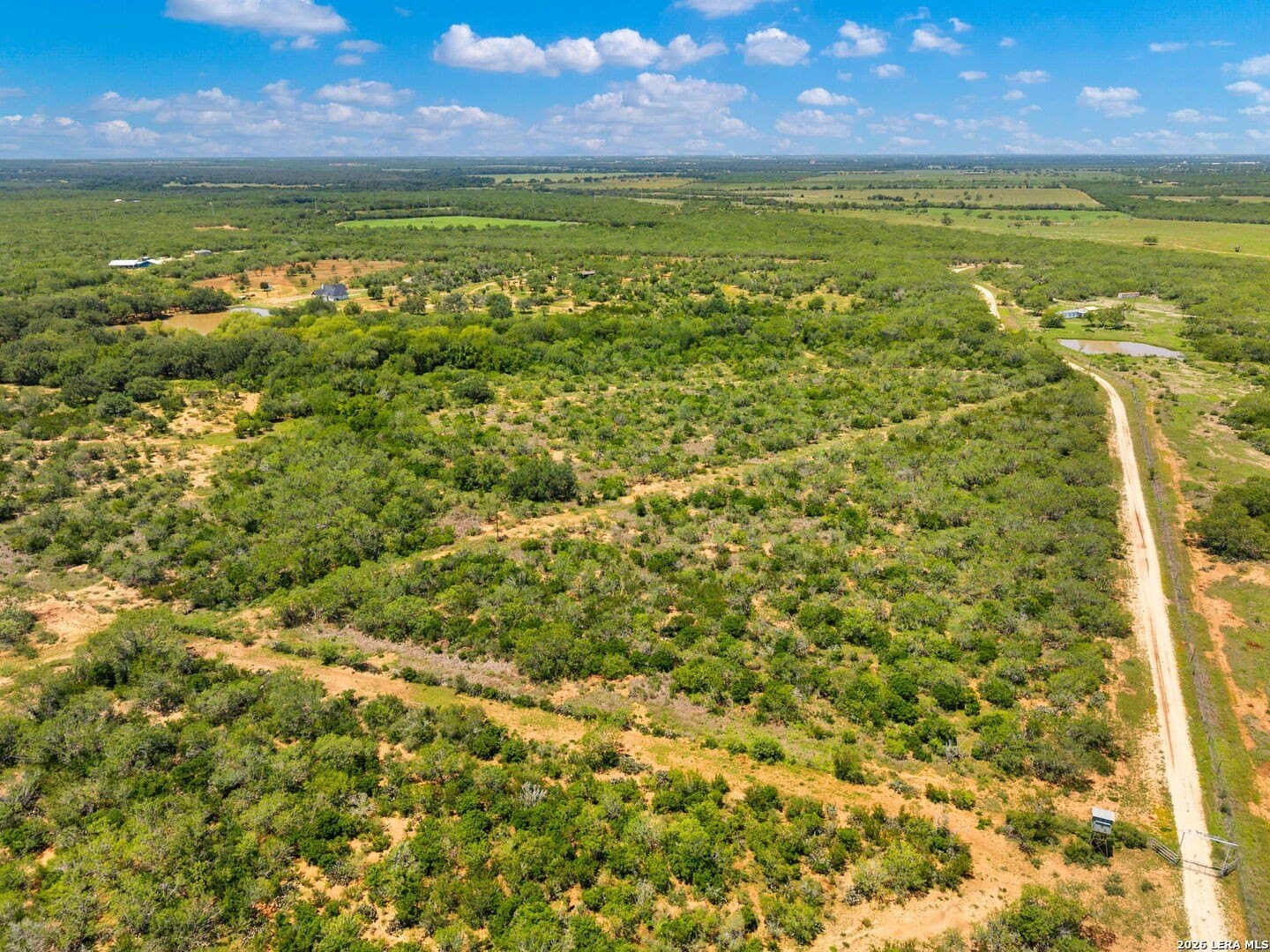 16.27 acres in Atascosa County - photo 35