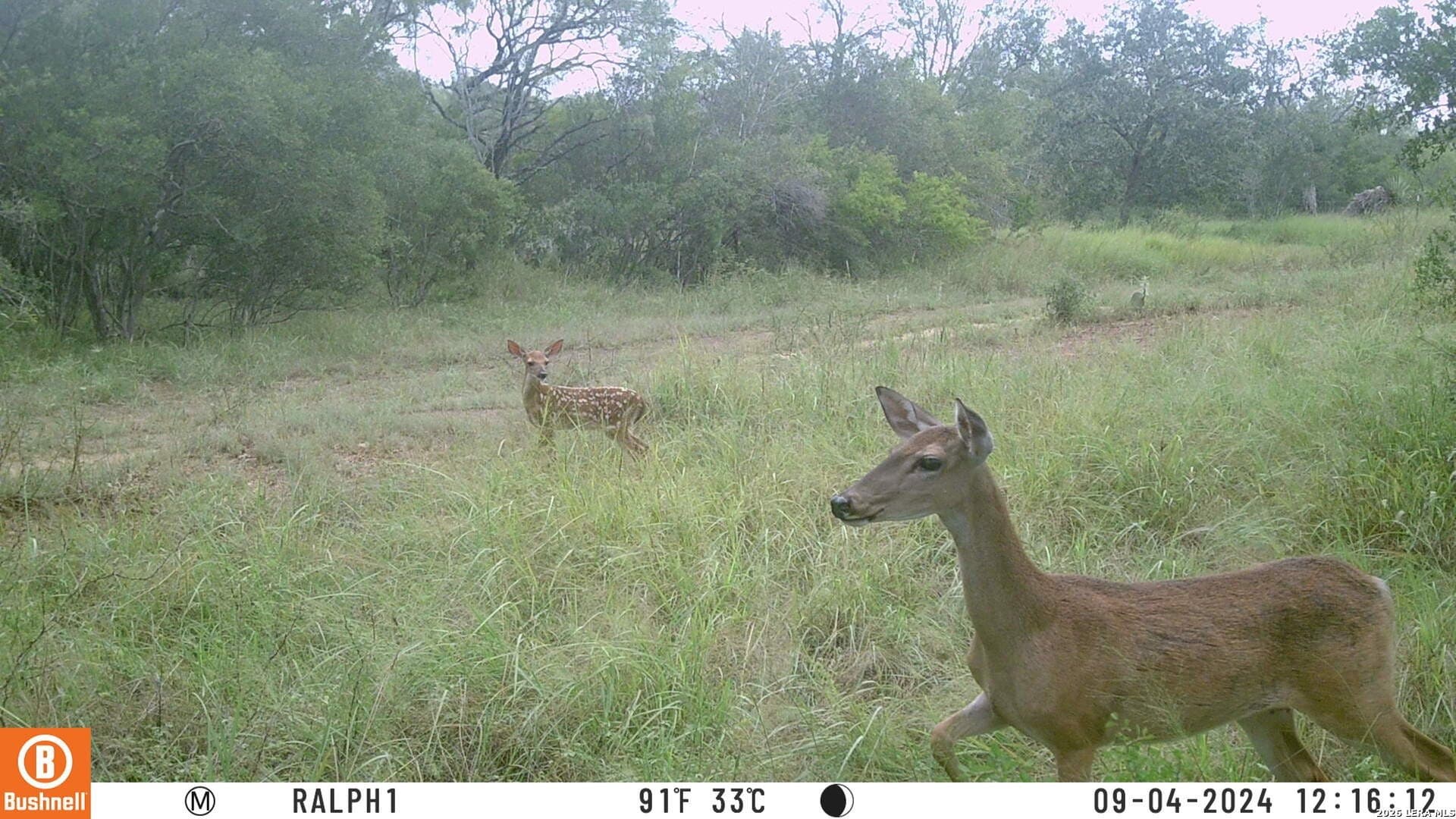 16.27 acres in Atascosa County - photo 48