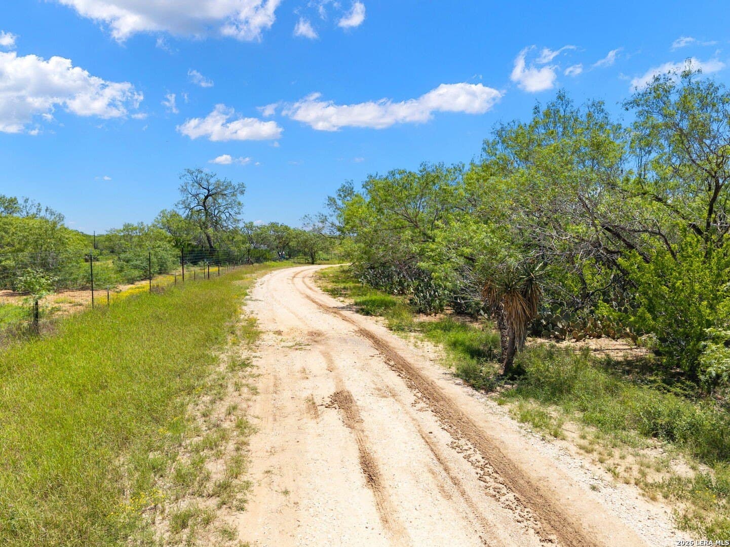 16.27 acres in Atascosa County - photo 7