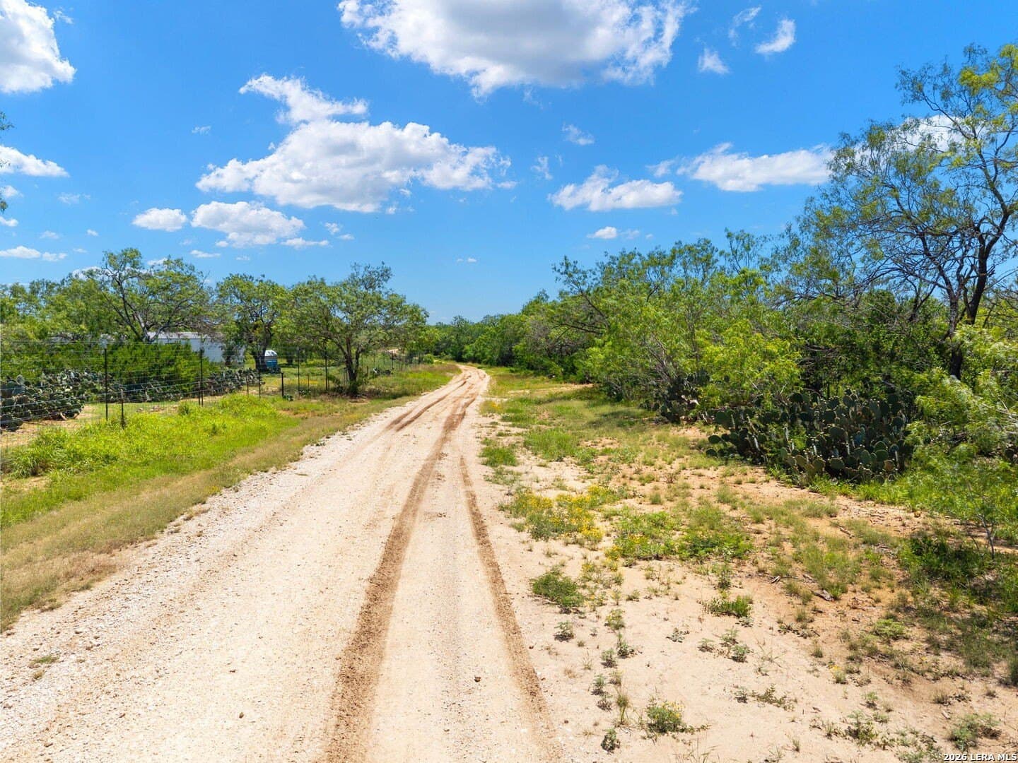 16.27 acres in Atascosa County - photo 9