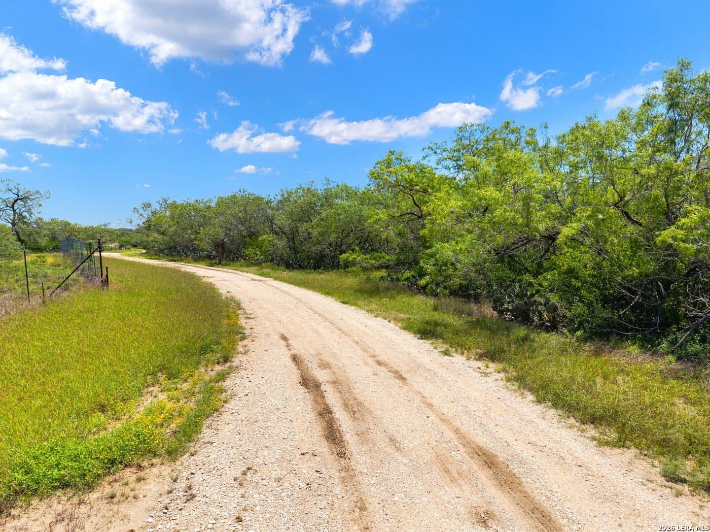 16.27 acres in Atascosa County featured view