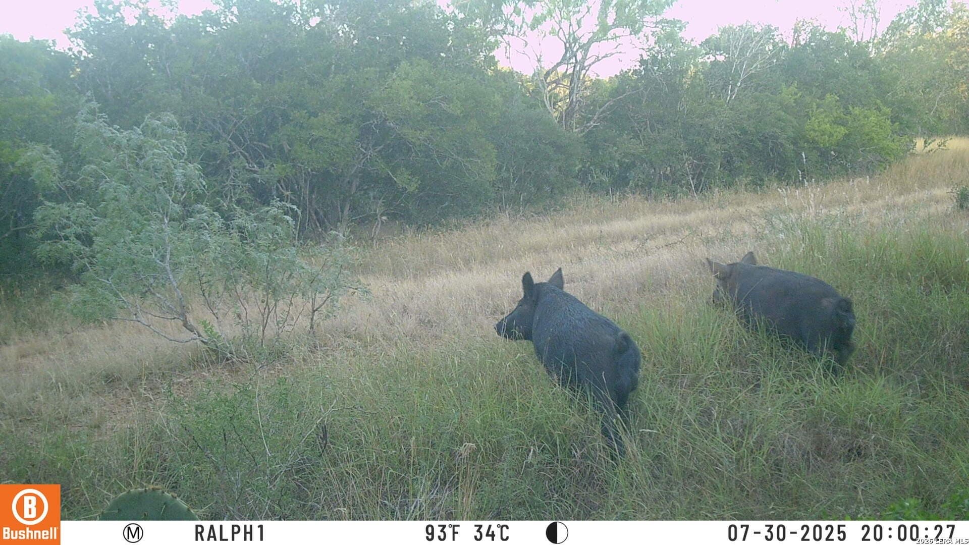 16.27 acres in Atascosa County - photo 49