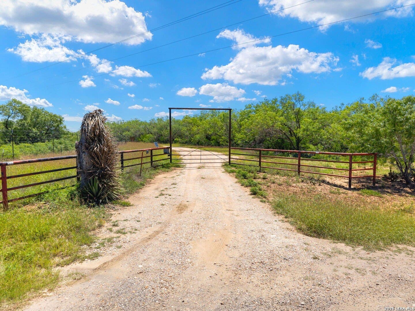 16.27 acres in Atascosa County gallery image 3