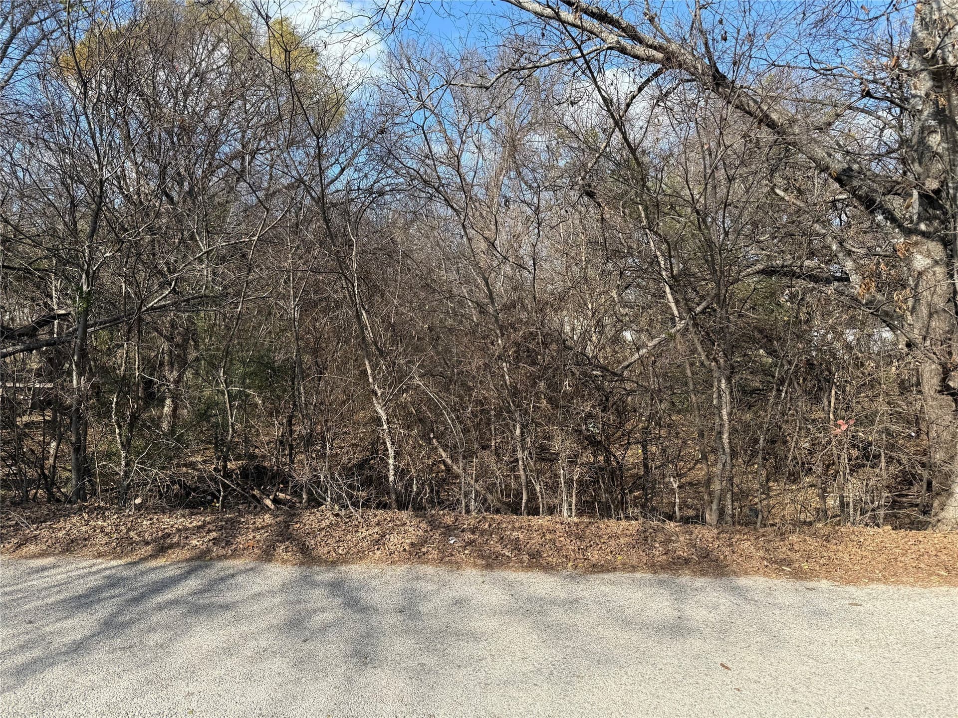 0.06 acres in Hood County - photo 6