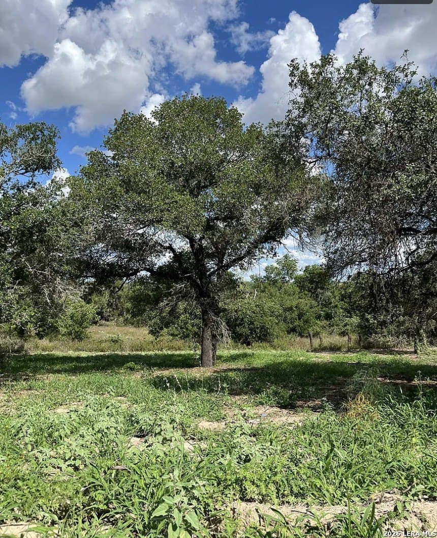 5.49 acres in Wilson County - photo 3