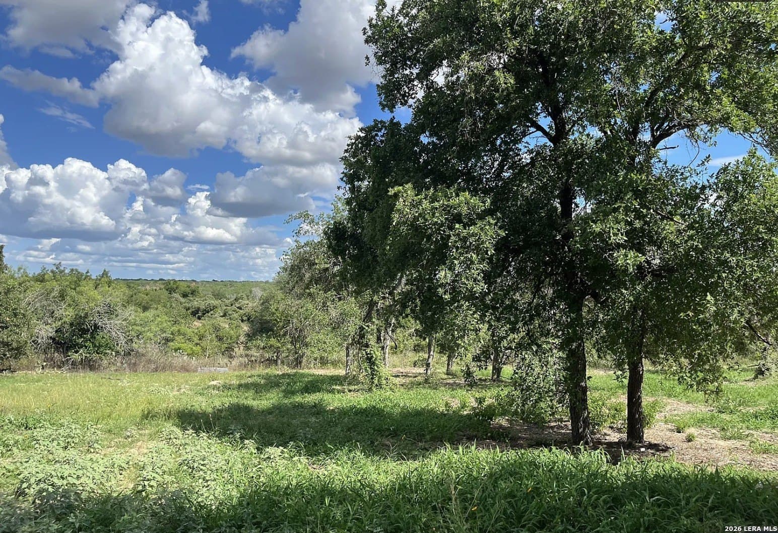 5.49 acres in Wilson County - photo 5