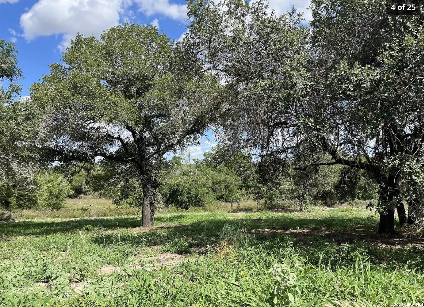 5.49 acres in Wilson County