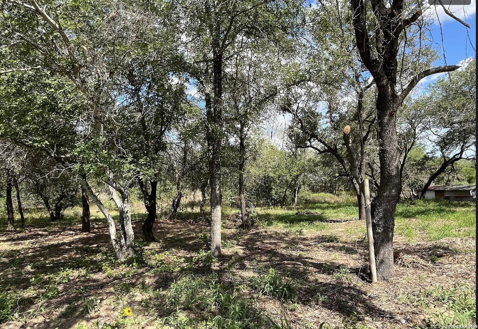 5.49 acres in Wilson County - photo 7