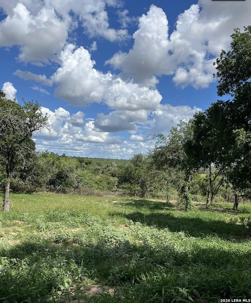 5.49 acres in Wilson County - photo 4