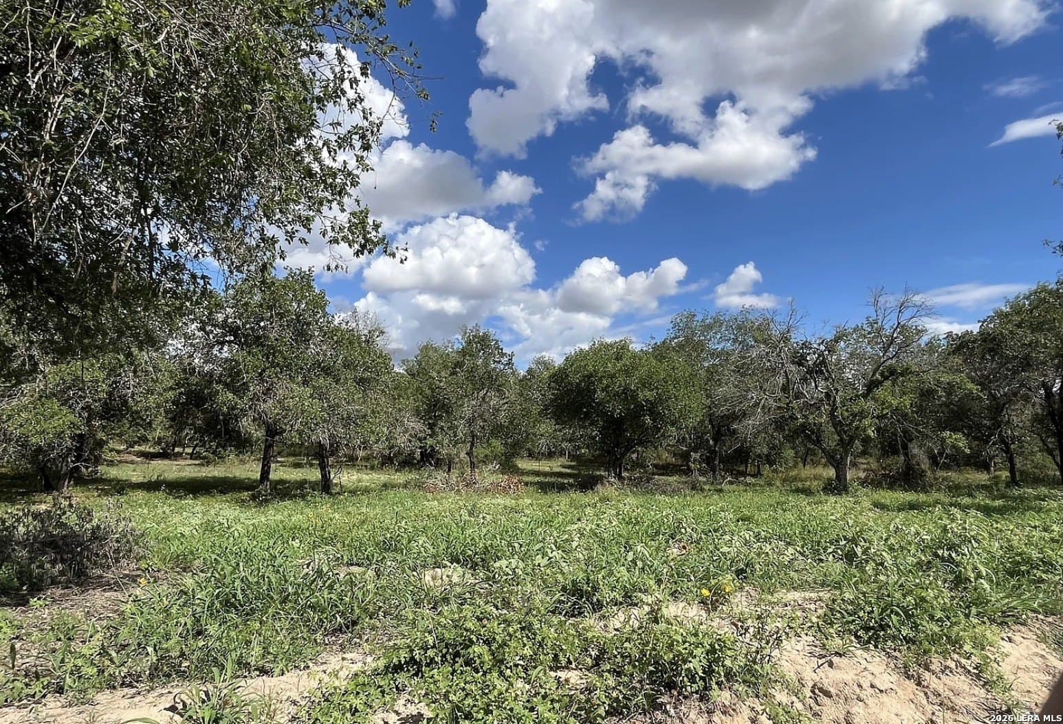 5.49 acres in Wilson County - photo 9