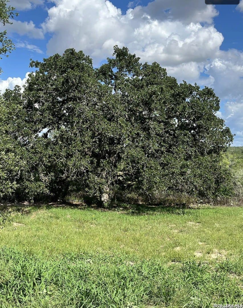 5.49 acres in Wilson County - photo 6