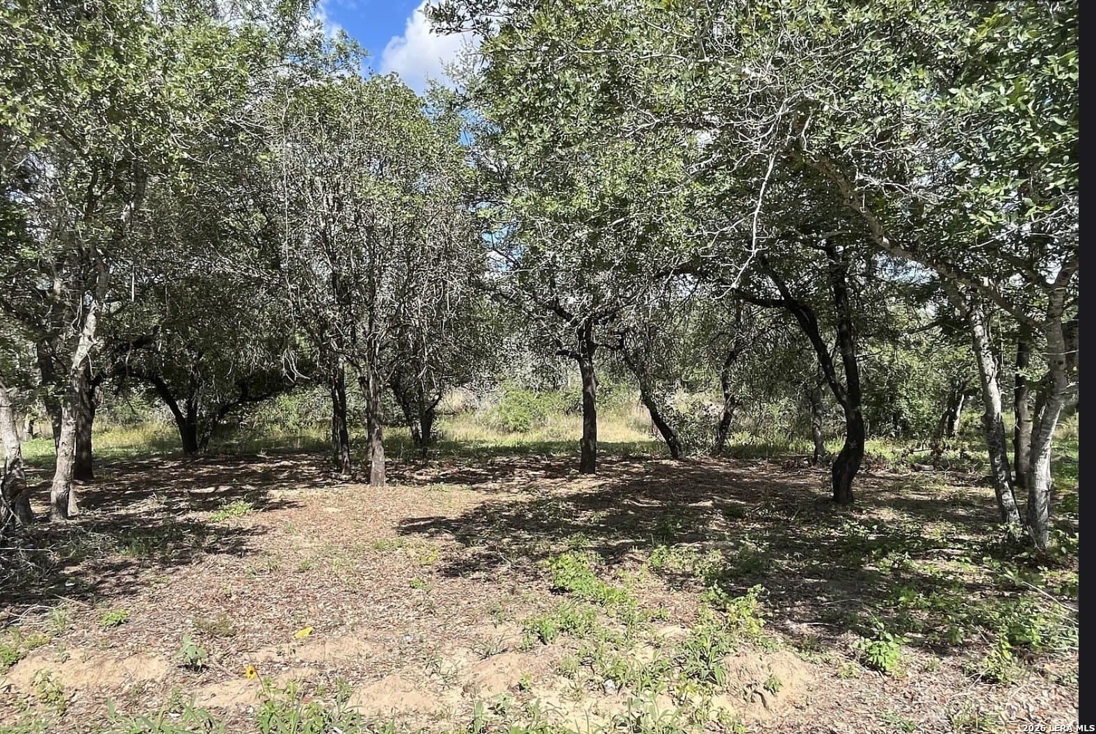 5.49 acres in Wilson County - photo 8