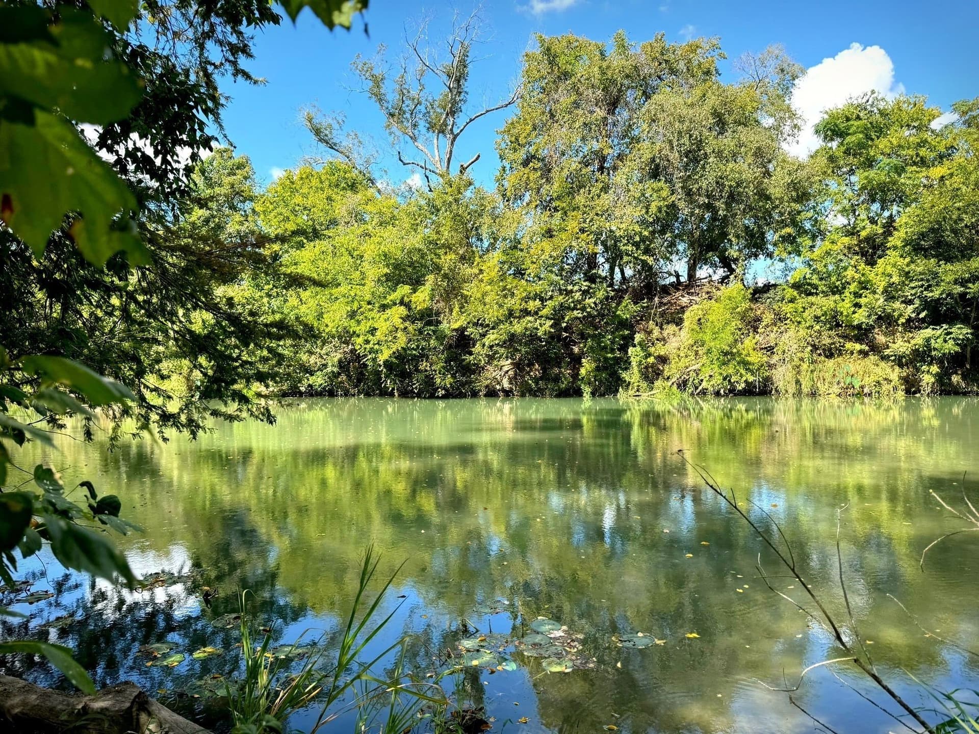 105.4 acres in Caldwell (TX) County - photo 17
