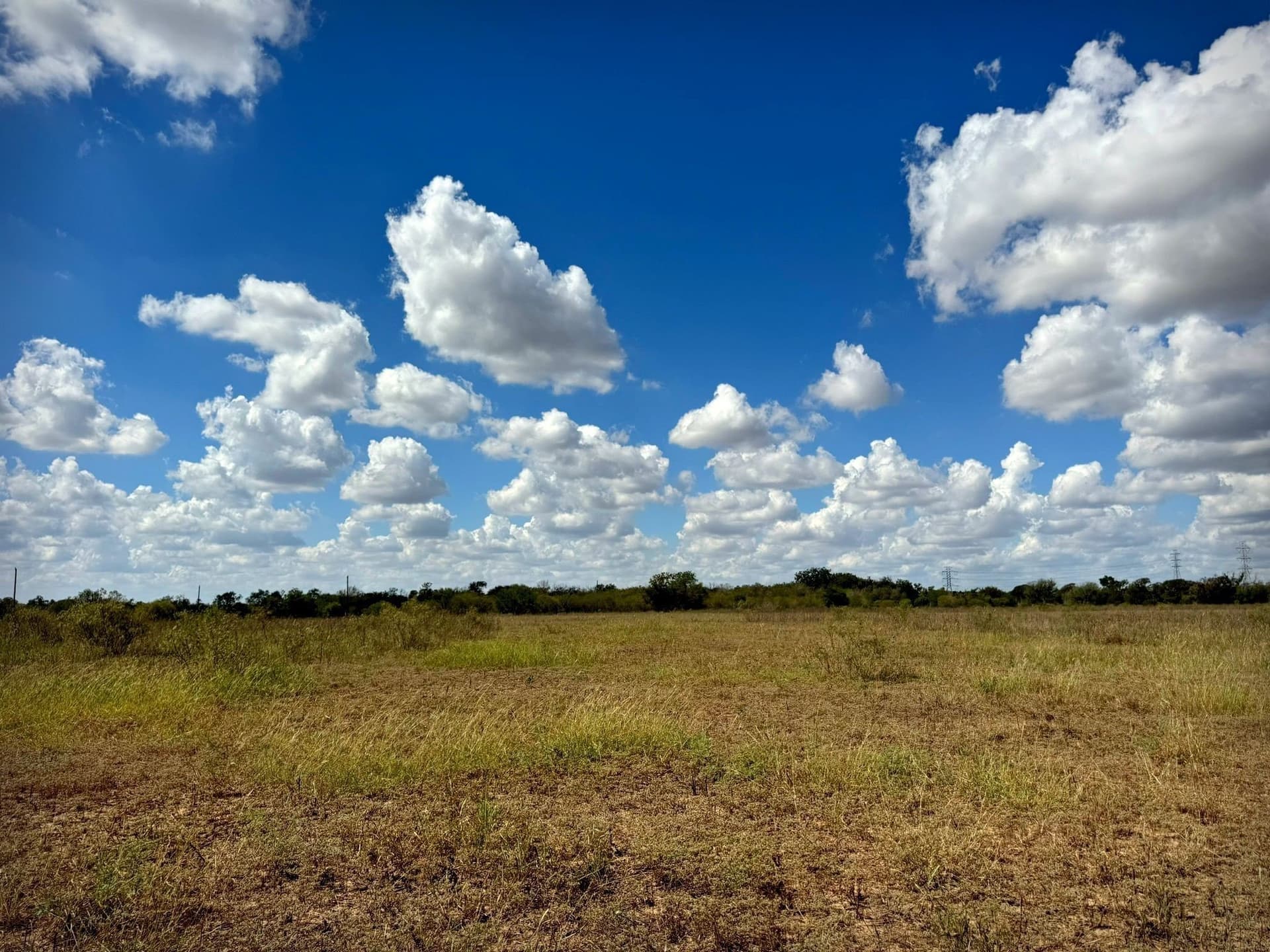 105.4 acres in Caldwell (TX) County - photo 19