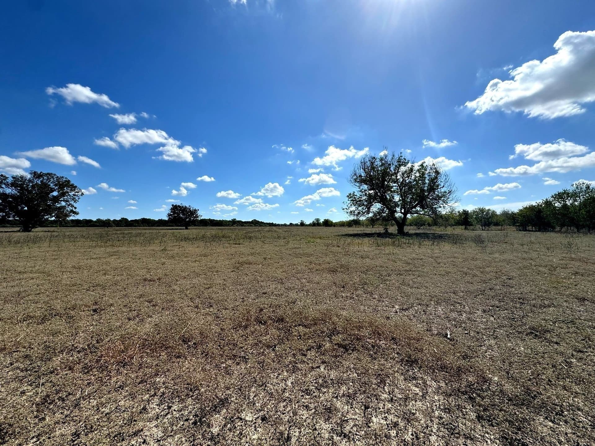 105.4 acres in Caldwell (TX) County - photo 14