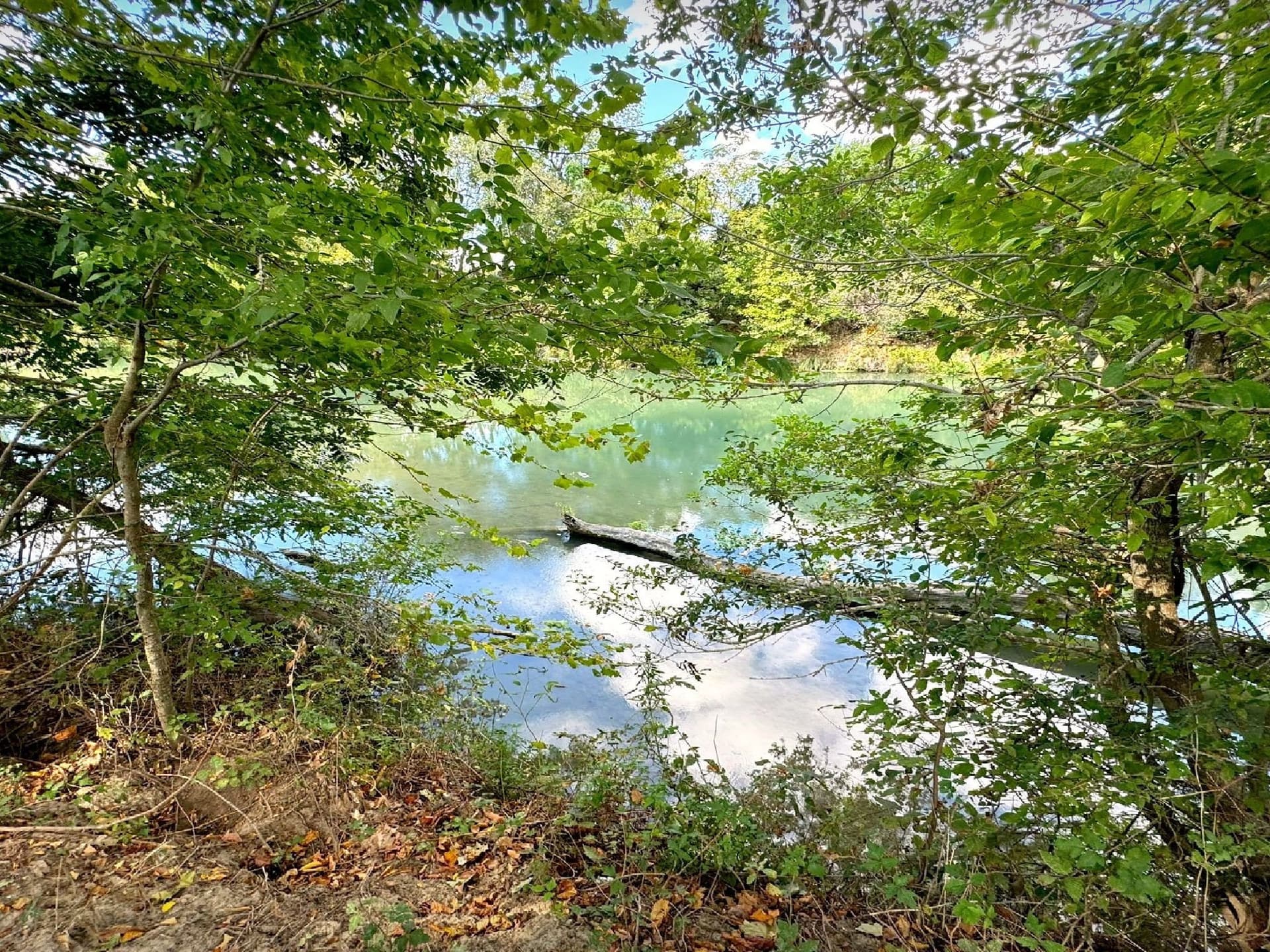 105.4 acres in Caldwell (TX) County - photo 8