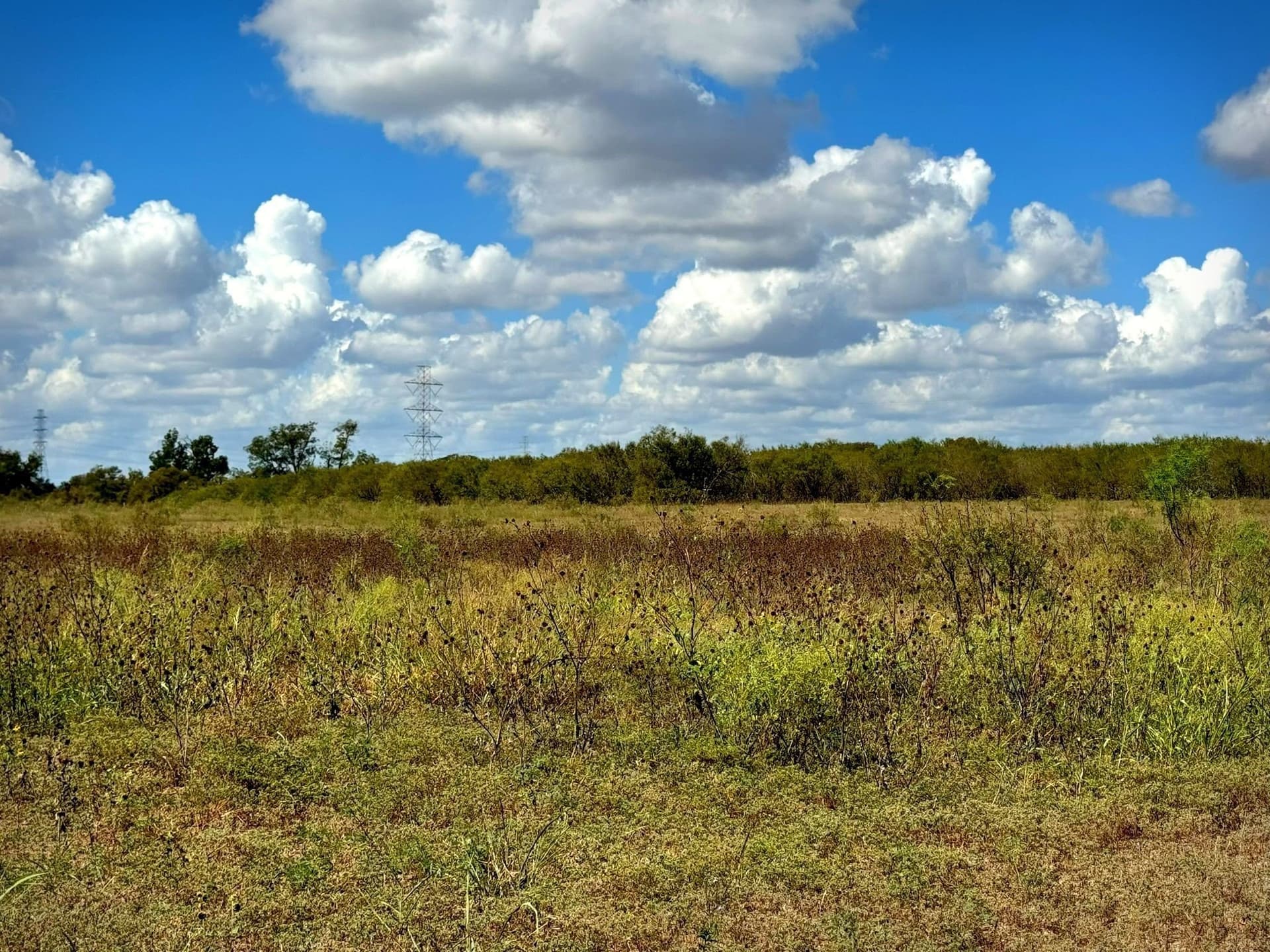 105.4 acres in Caldwell (TX) County - photo 12