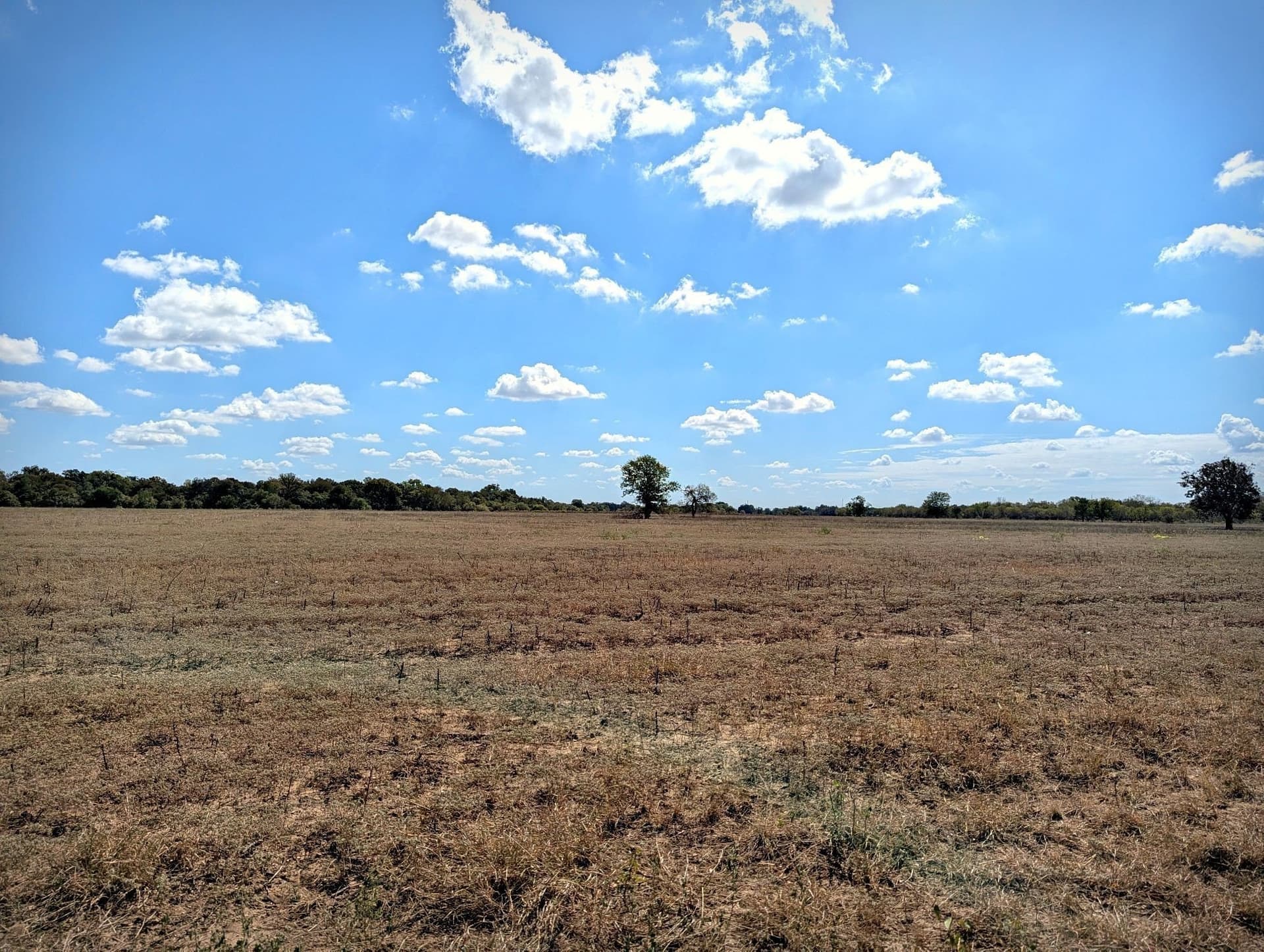 105.4 acres in Caldwell (TX) County - photo 25